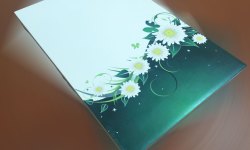������������ ������